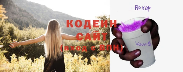 прущие грибы Аркадак