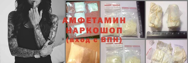 прущие грибы Аркадак