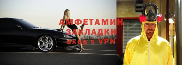 прущие грибы Аркадак