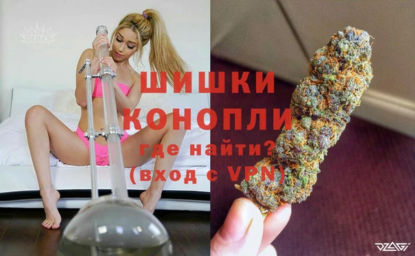 прущие грибы Аркадак