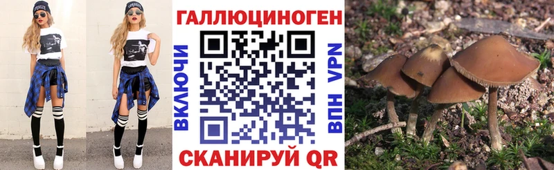ссылка на мегу зеркало  Верхний Уфалей  Псилоцибиновые грибы прущие грибы 